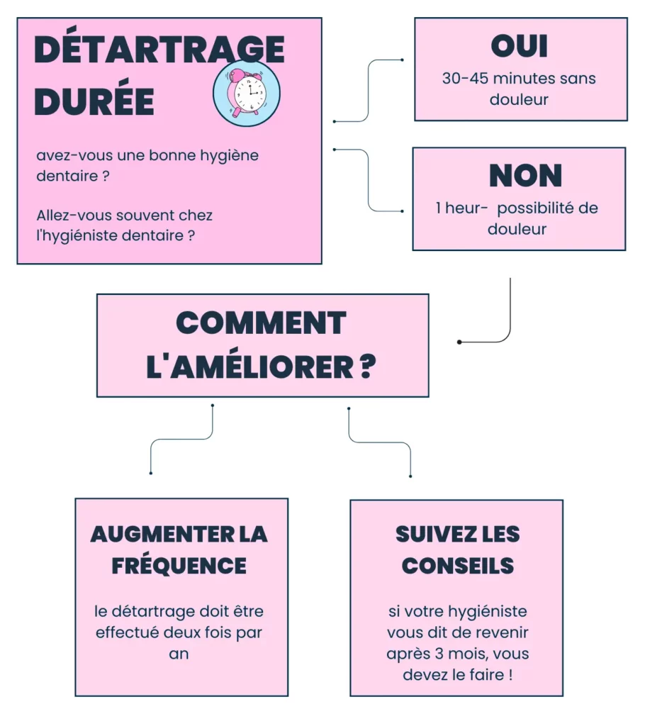 Durée et fréquence d'un détartrage dentaire